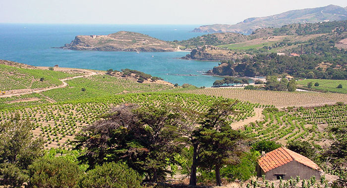 Cru-Banyuls-web-700px