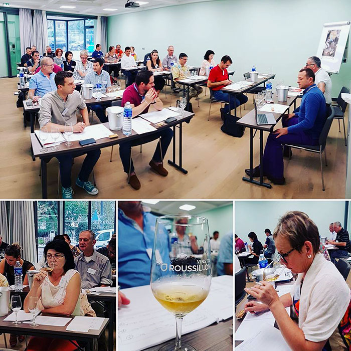 degustation-a-l-aveugle-vins-roussillon-web