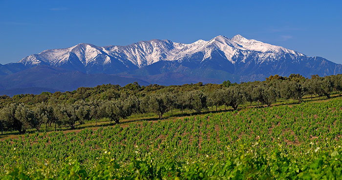 Roussillon-mont-Canigou